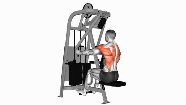 Lever Seated Row (neutral grip)