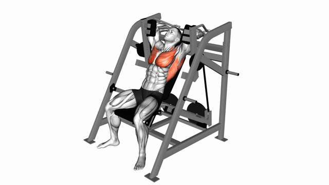 Lever Pullover (plate loaded)