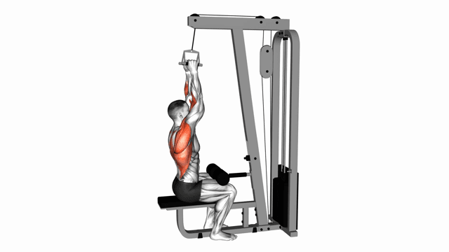 V bar lat pull down