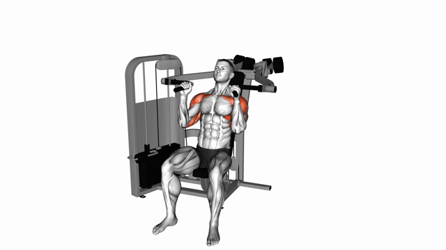 Lever Seated Hammer Grip Shoulder Press