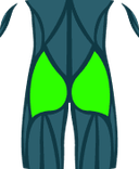 Glúteos