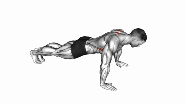 Scapula Push Up