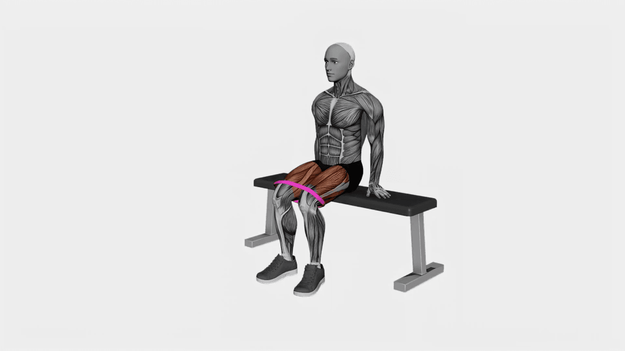 Resistance Band Seated Hip Abduction