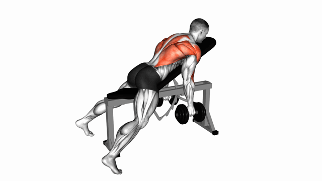 Dumbbell Hammer Grip Incline Bench Two Arm Row