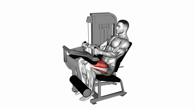 Seated leg extension