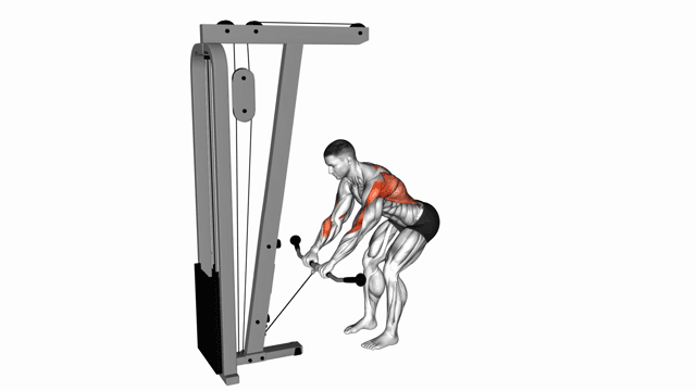 Cable Bent Over Row