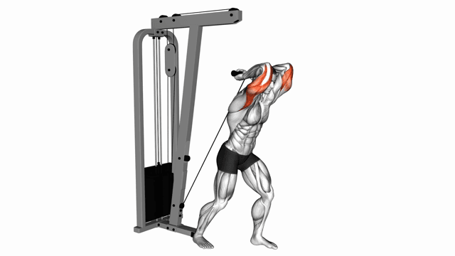 Cable tricep overhead extension (W bar)