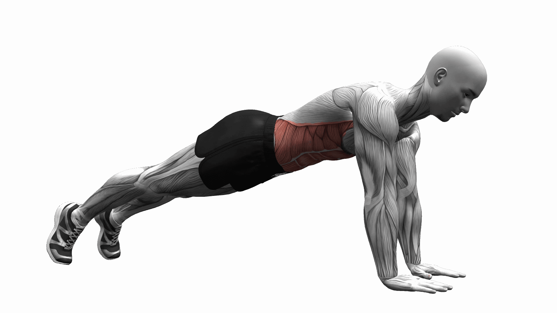 High Plank 