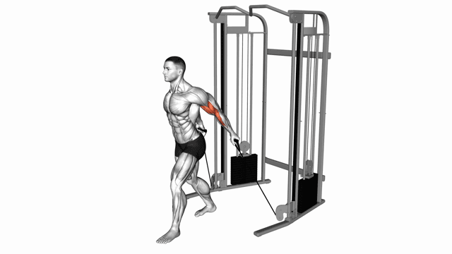 Cable Unilateral Biceps Curl