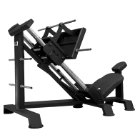 Leg Press 45