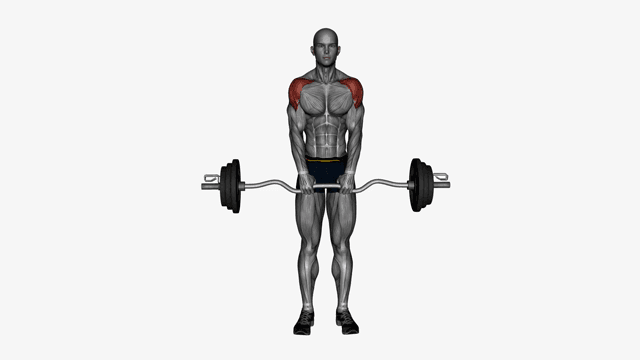 Upright row ez bar