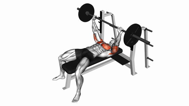 Barbell Pause Bench Press