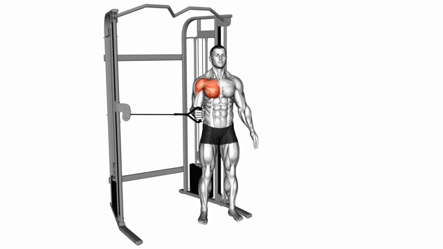 Cable Shoulder Internal Rotation