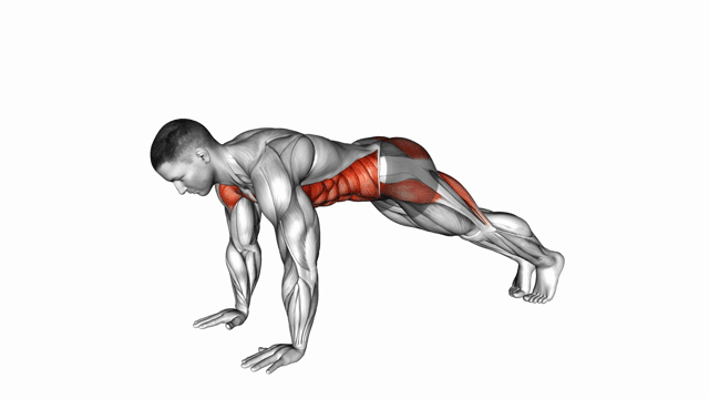 Alternate Single Leg Raise Plank