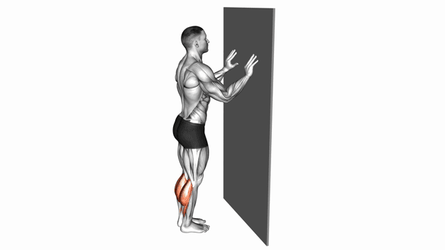 Calf Raise with Wall Support