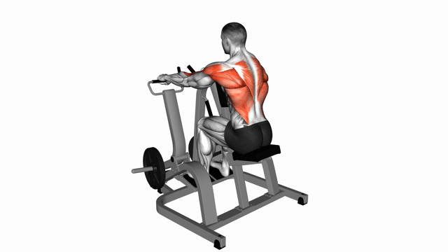 Lever Seated Row Plate Loaded (pronated grip)