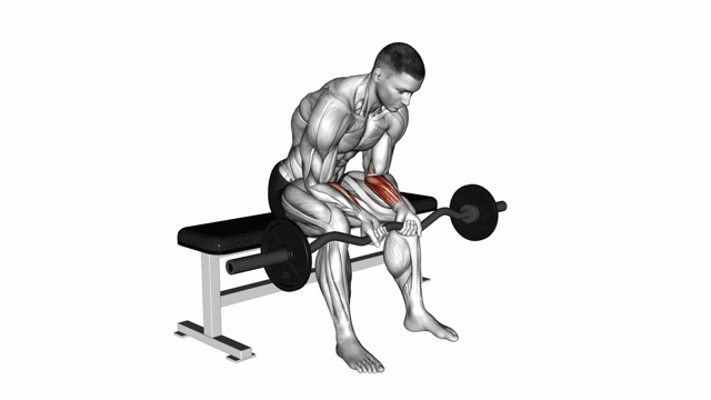 EZ Bar Seated Wrist Curl