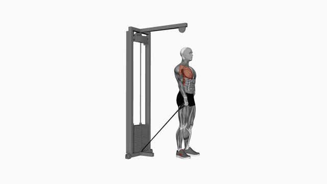 Cable One Arm Front Raise