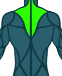 Trapecio