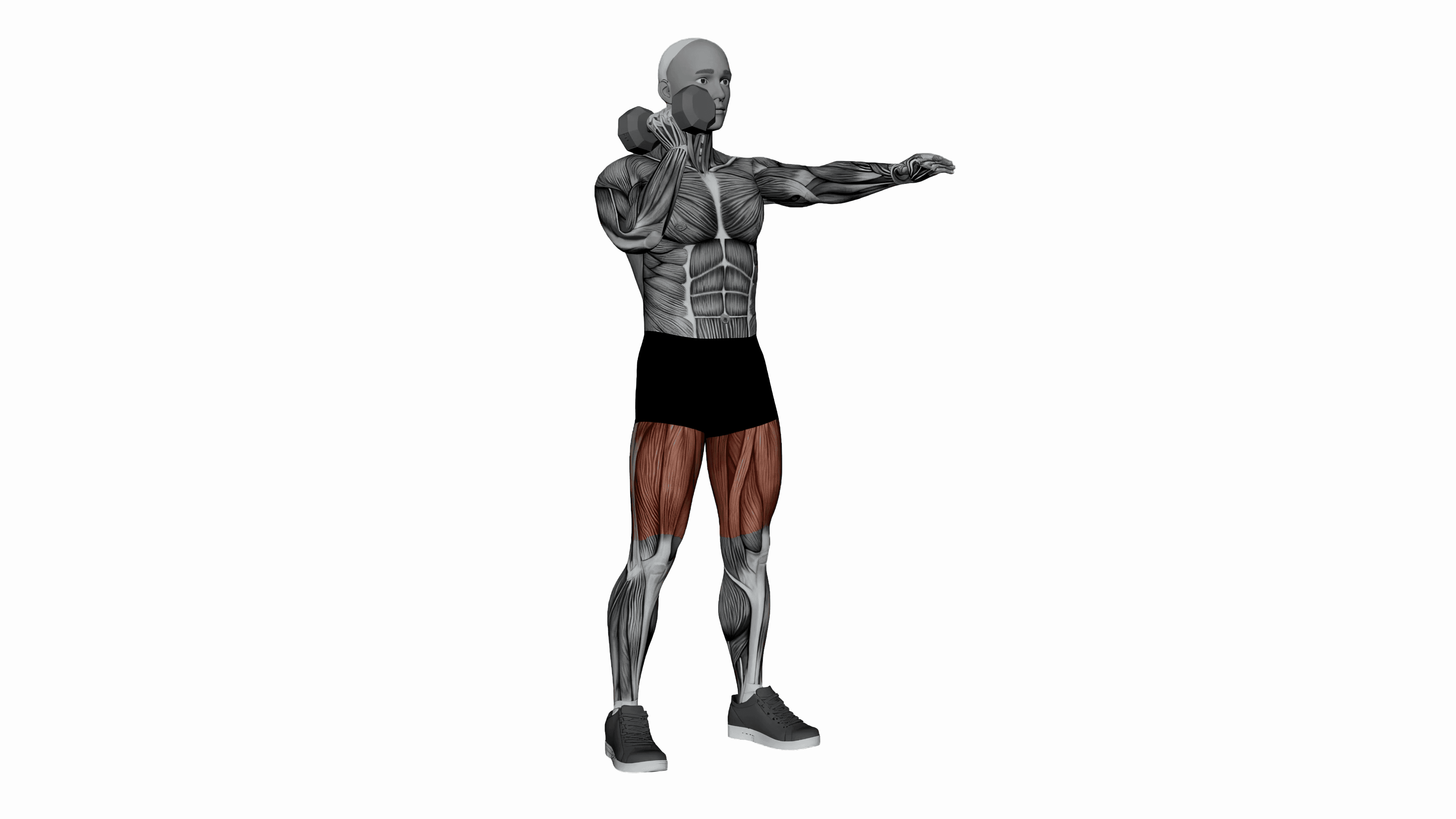 Dumbbell Offset Squat