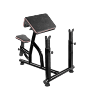 Preacher Curl Bench