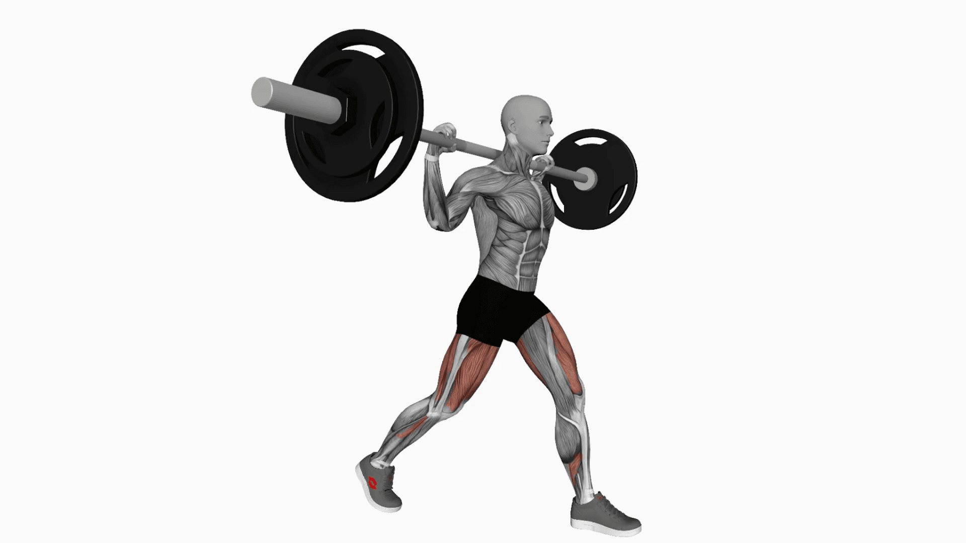Barbell split squat