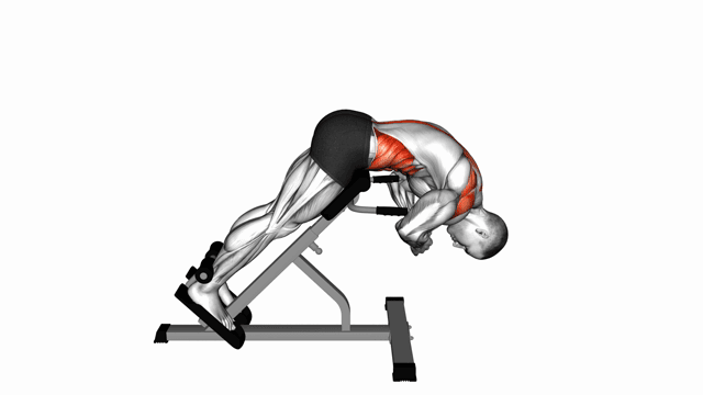 Back extension machine