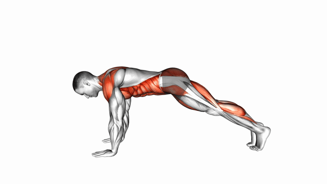 Alternate Arm Leg Plank