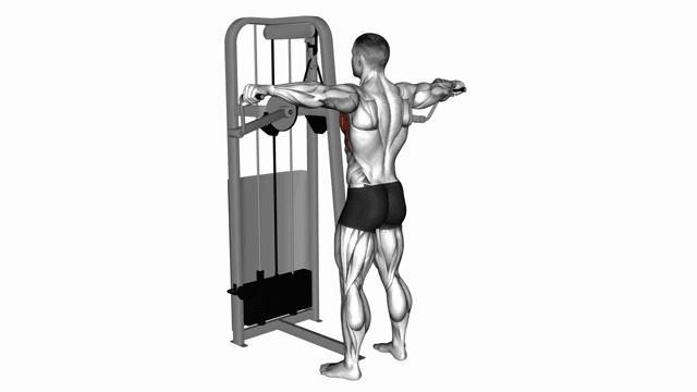 Lever Standing Pec Fly