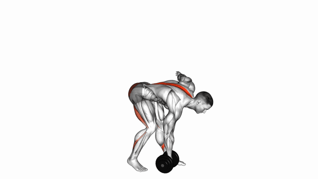 Single leg romanian deadlift dumbbell