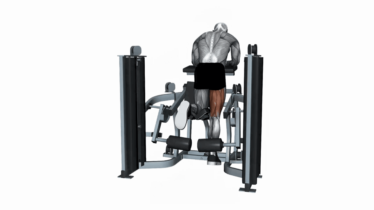 MTS Iso-lateral kneeling Leg Curl