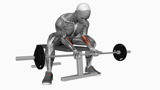 Barbell Wrist Curl