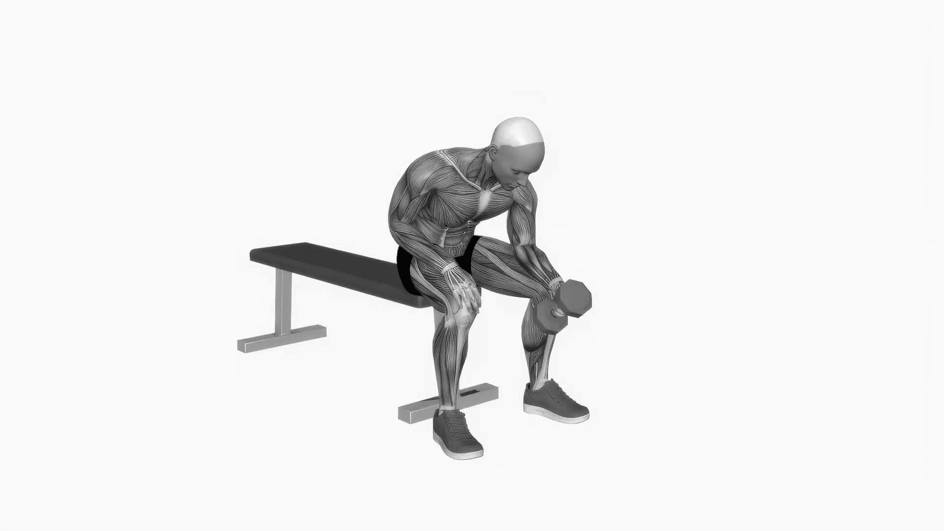 Neutral wrist flexion