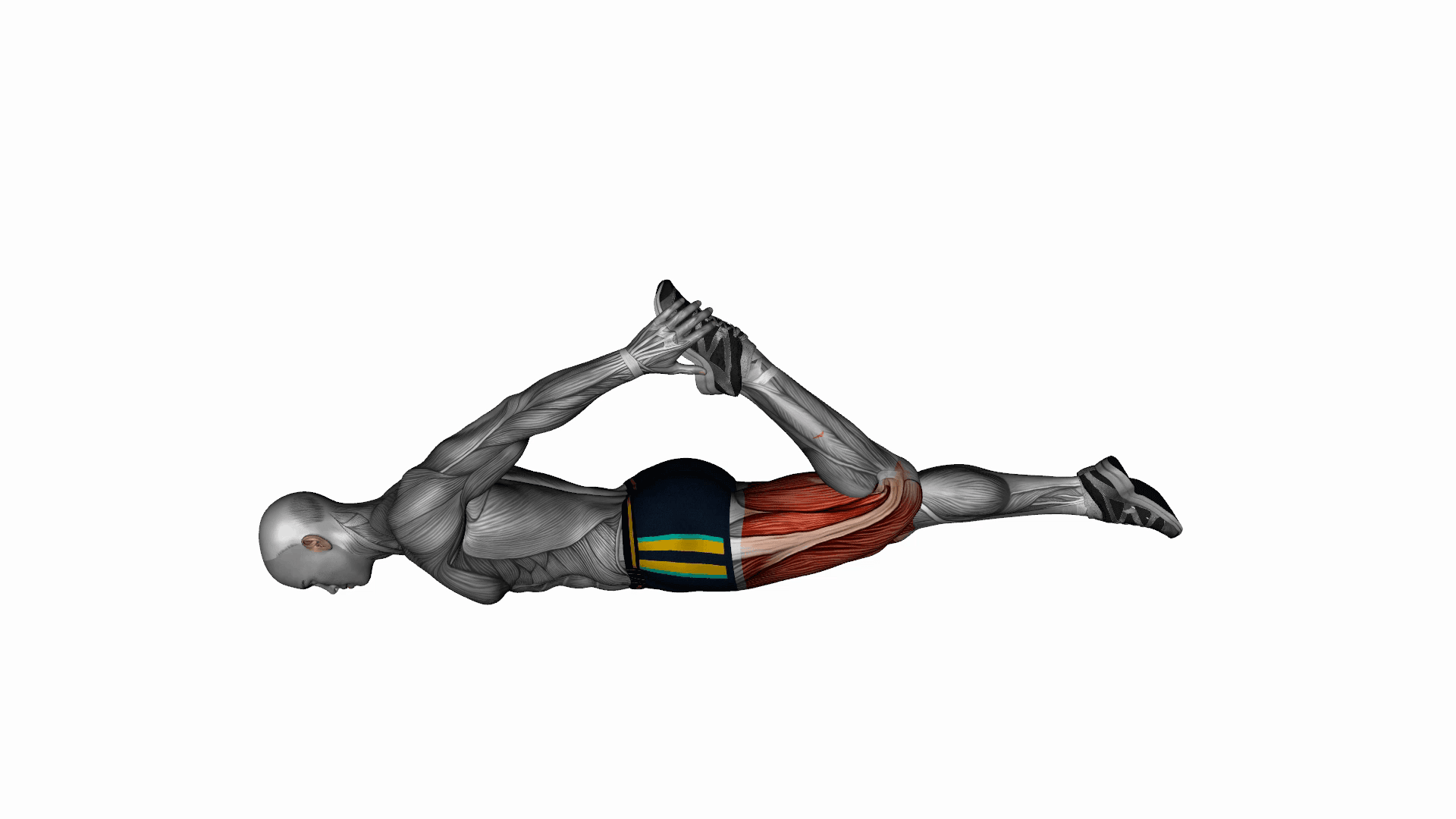 Quadriceps Lying Stretch